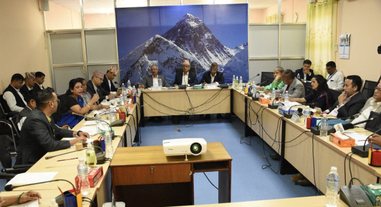 चिनी आयातमा भन्सार छुट दिन संसदीय समितिको निर्देशन